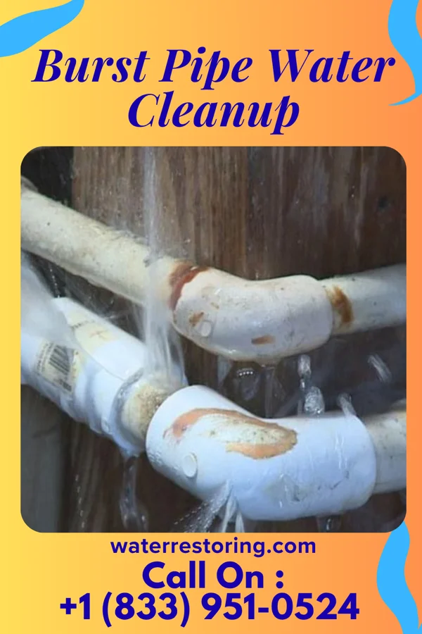 Burst Pipe Water Cleanup in Oacoma, SD