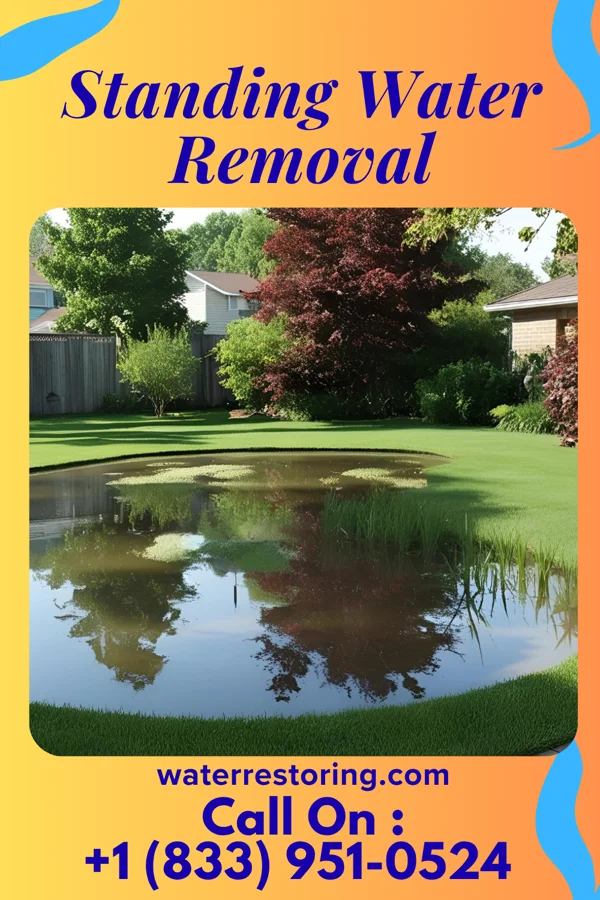 Standing Water Removal in Oacoma, SD